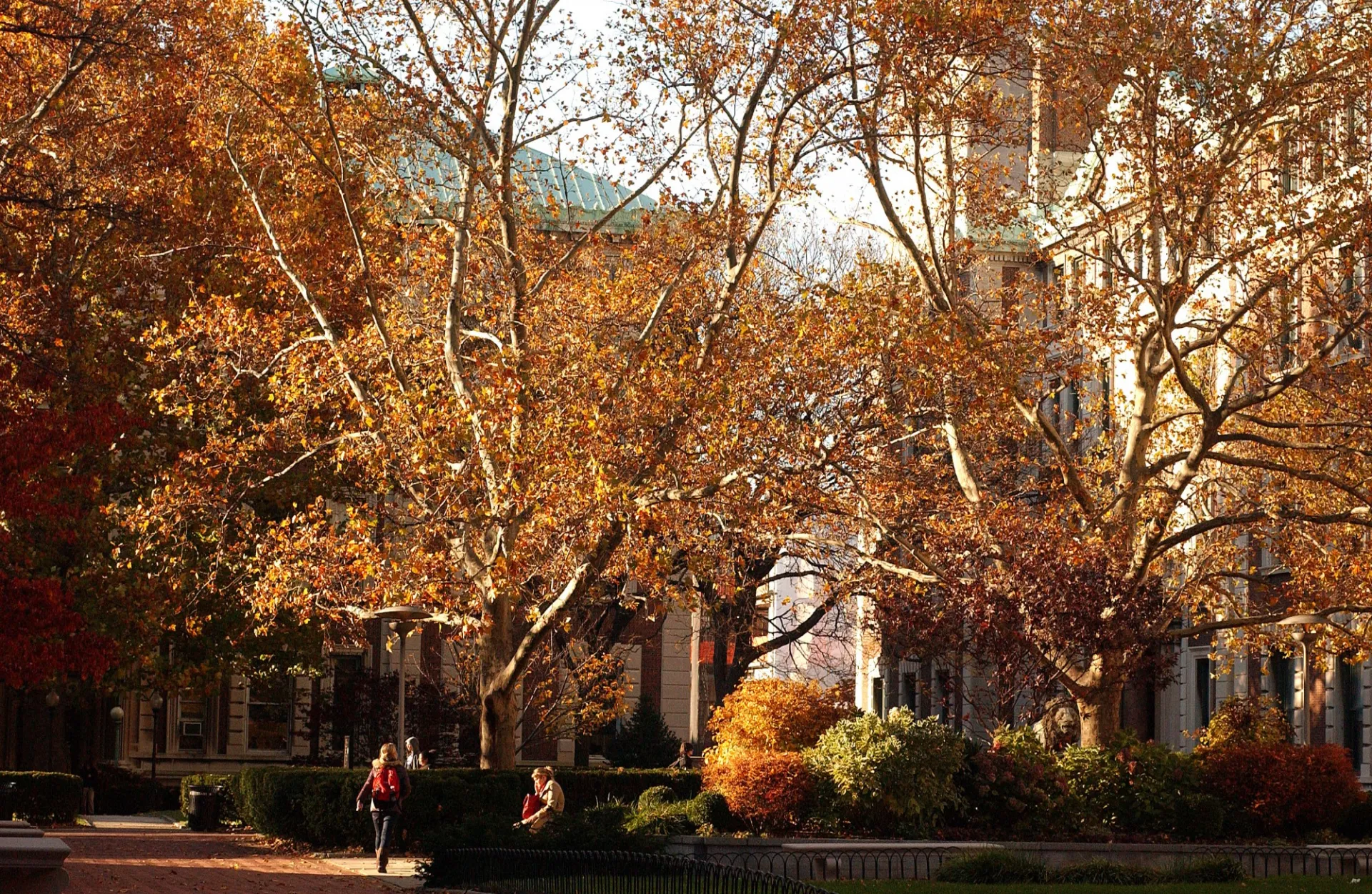Fall