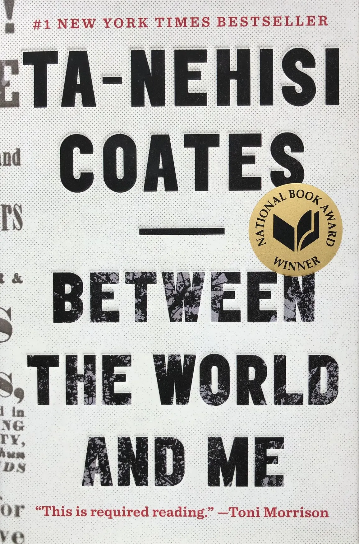 Between the World and Me